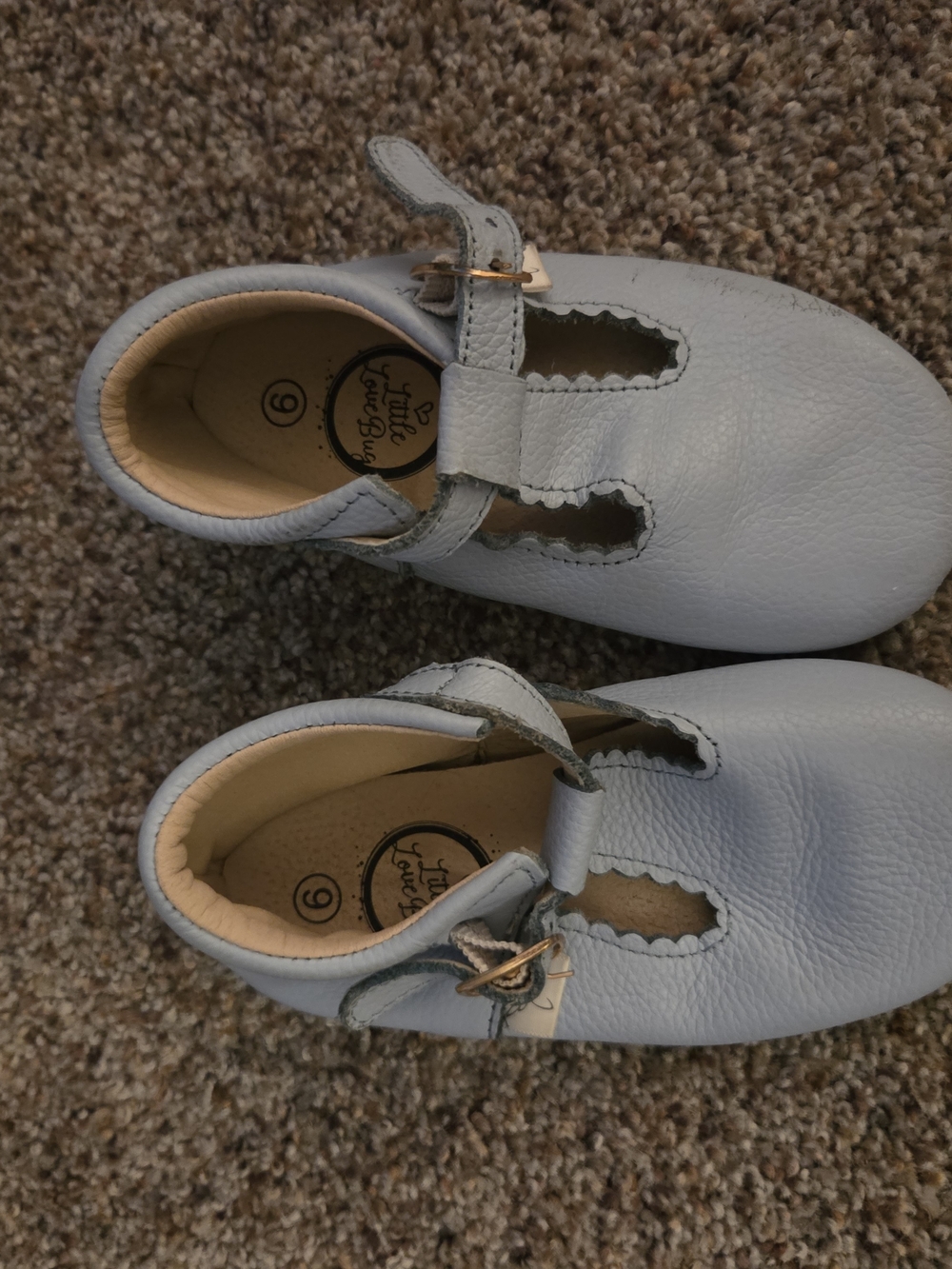 Little Love Bird Light Blue Leather Mary Jane Shoes